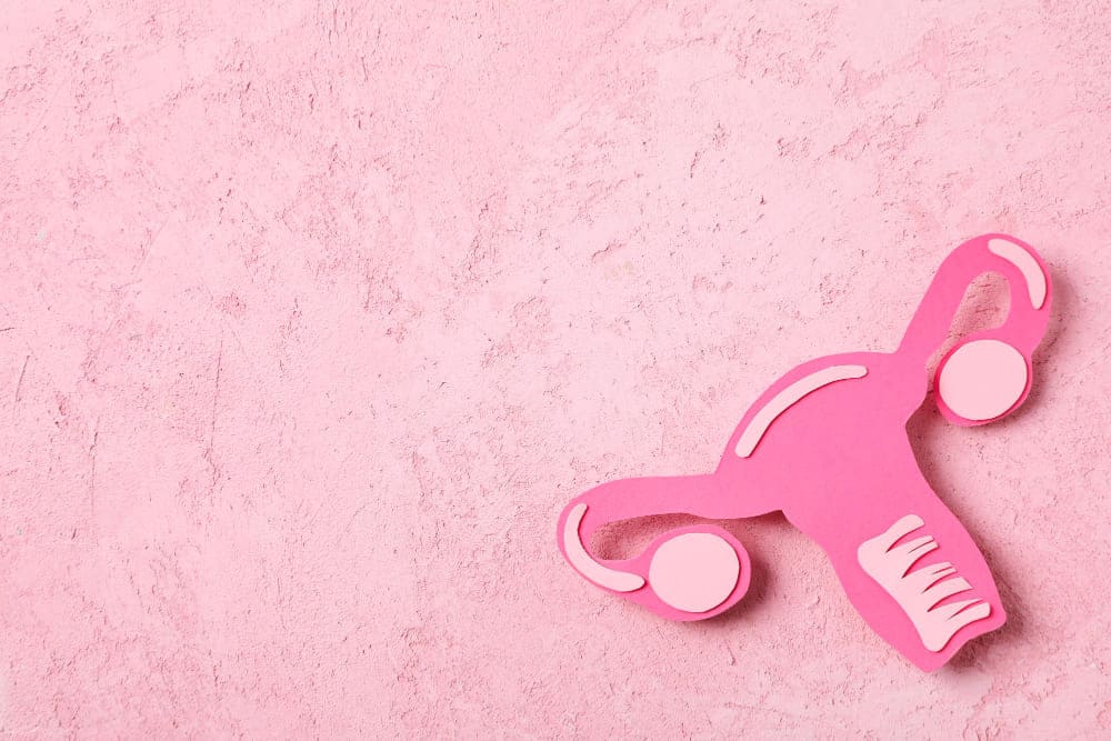 Representación de vagina en papel